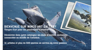 Présentation de Wings Art Gallery Tirages d'art pour les passionnés d'aviation